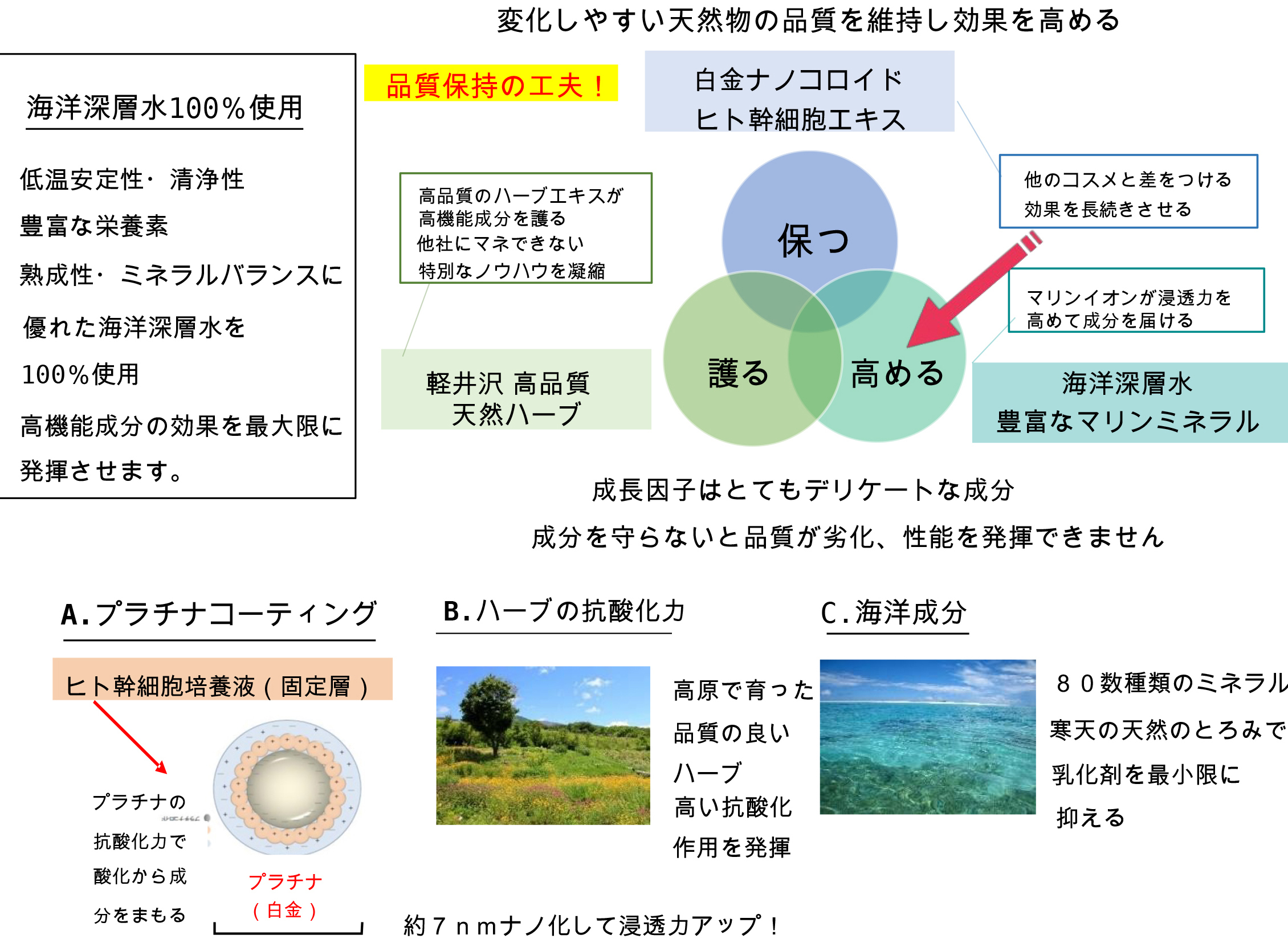 パシエリフタ　品質保持のノウハウ